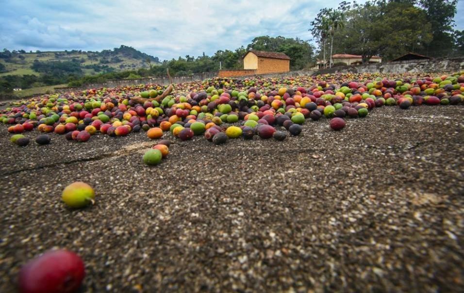 Fortuna Casas De Campo سوكورو المظهر الخارجي الصورة