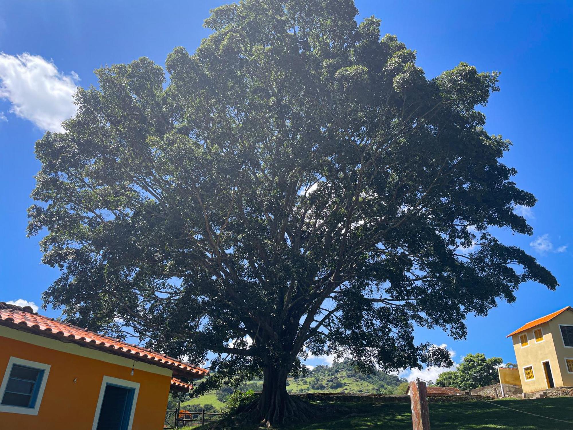 Fortuna Casas De Campo سوكورو المظهر الخارجي الصورة